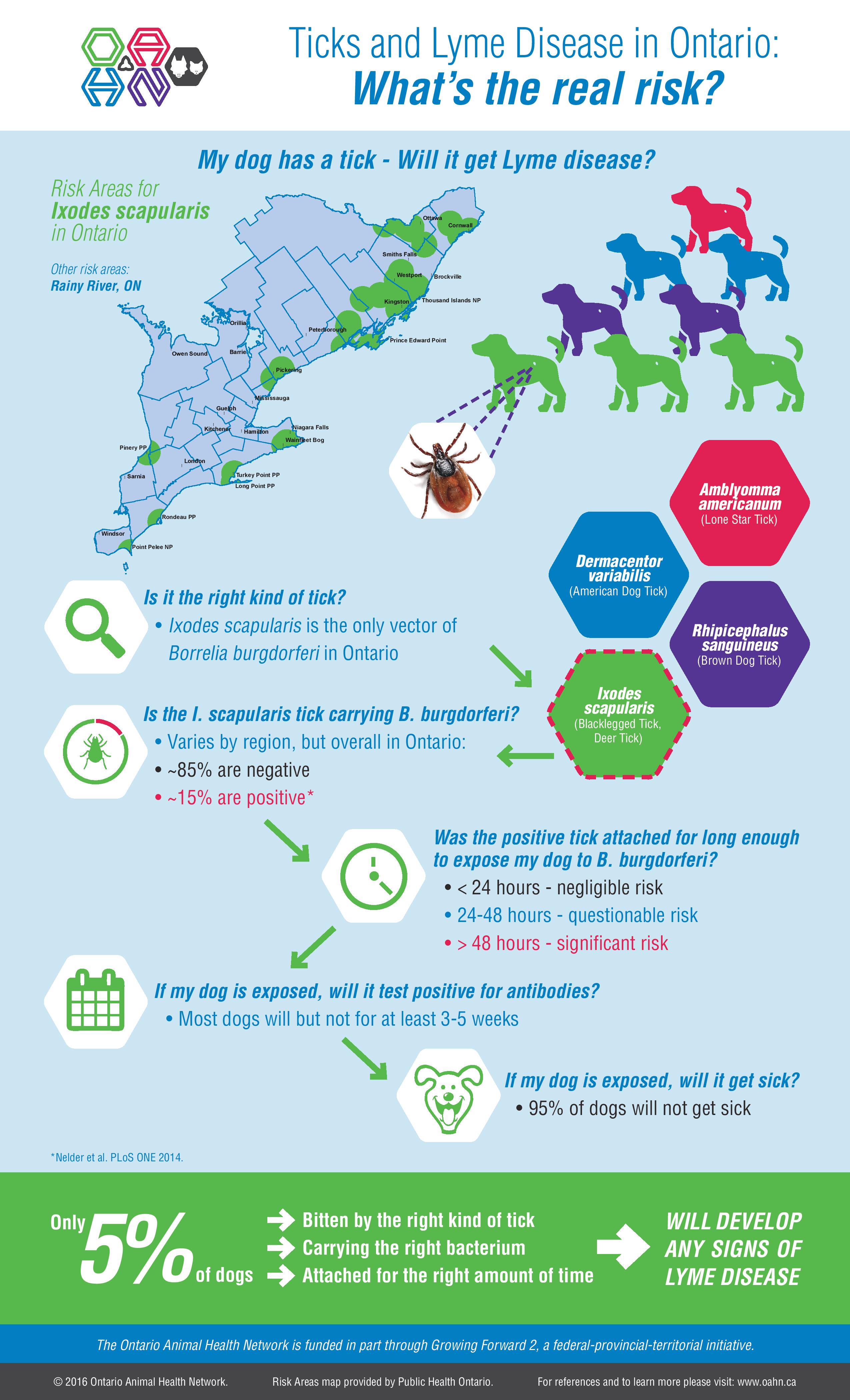Ticks and Lyme Disease in Ontario: What’s the real risk? – Infographic