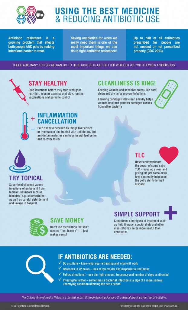 Infographic: Using The Best Medicine & Reducing Antibiotic Use 