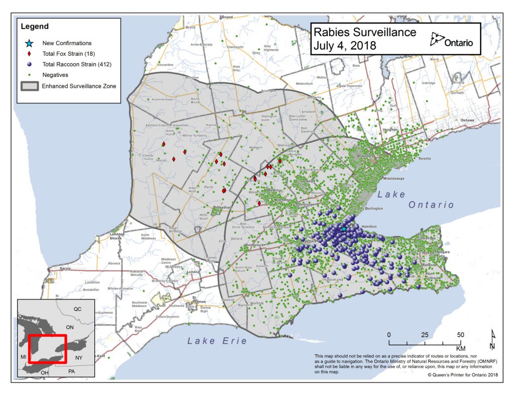 RAbies map of Ontario - July 4 2018