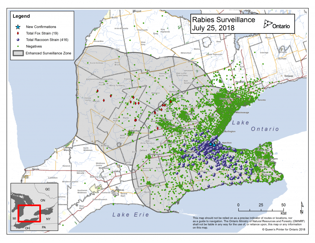 Ontario Rabies Update for July 25 2 New Cases Ontario Animal Health