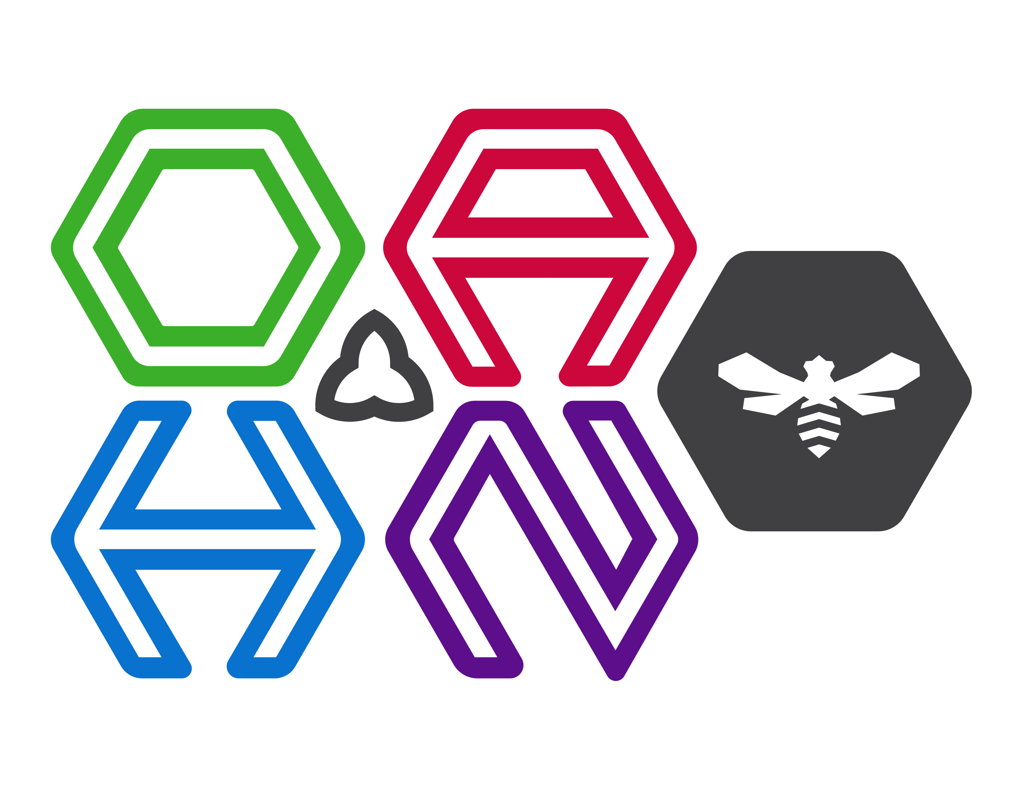 OAHN Bee Logo