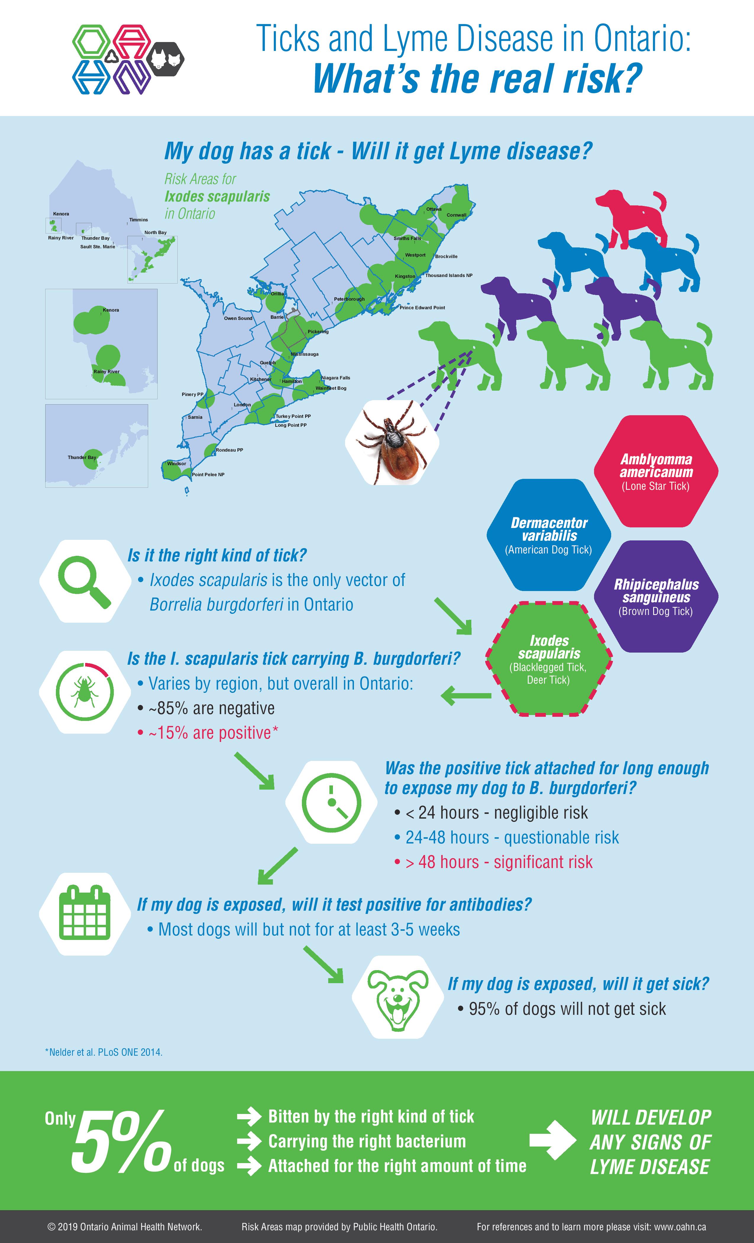 Ticks and Lyme Disease in Ontario What’s the real risk? Infographic