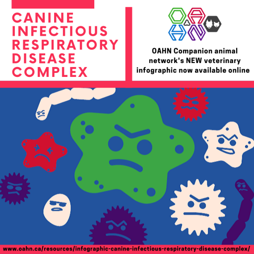 Canine Infectious Respiratory Disease Complex 2025