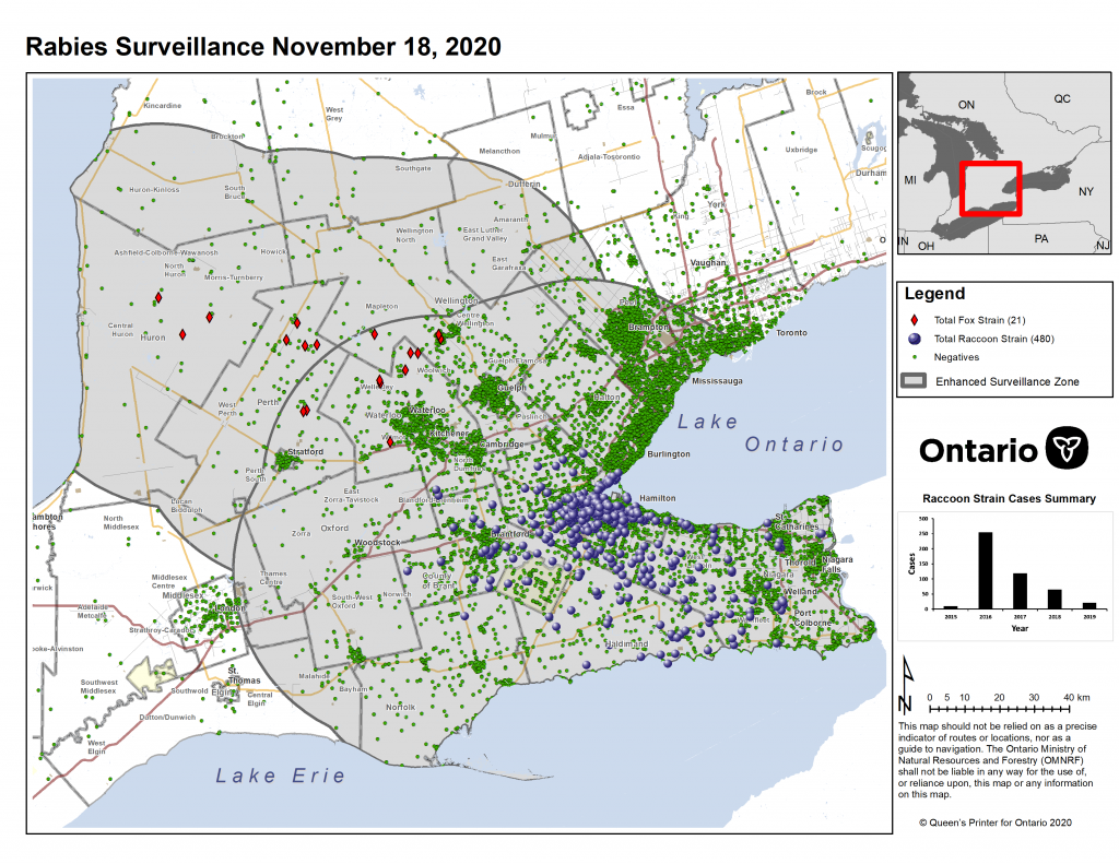 Ontario Rabies Update for November 25 2020 - 0 New Cases - Ontario