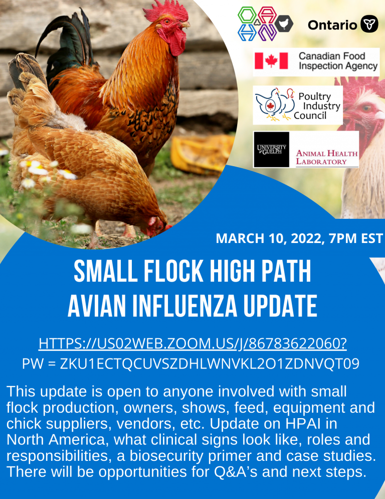 Small Flock High Path Avian Influenza Update Ontario Animal Health