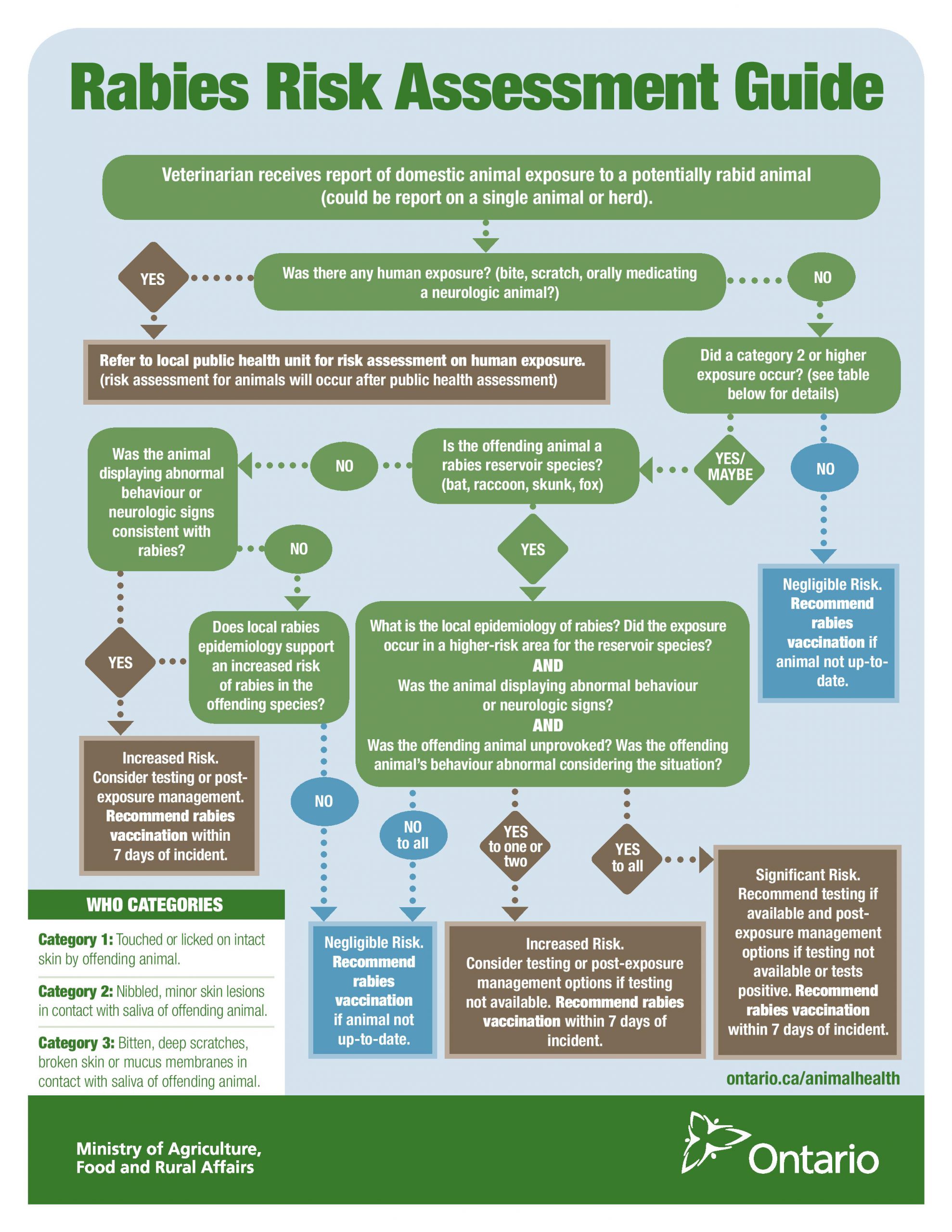 rabies-risk-assessment-flowchart-ontario-animal-health-network