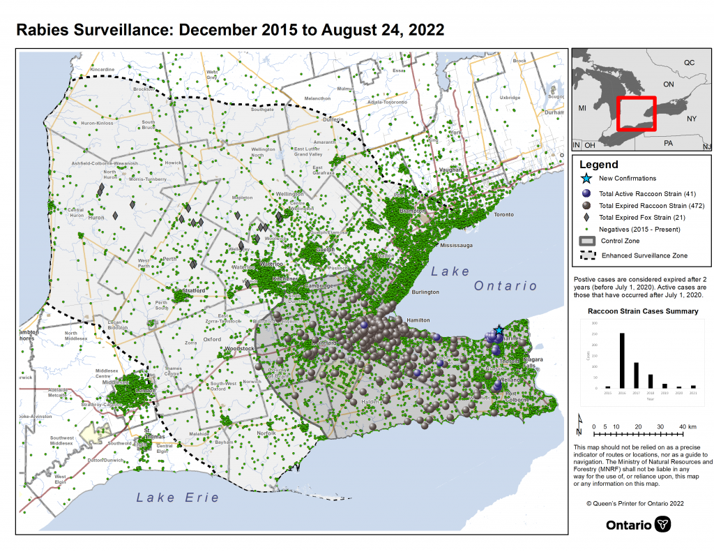 Ontario Rabies Update August 24 2022 1 New Case Ontario Animal   Rabies Surveillance And Control 08 24 2022 English 1024x791 