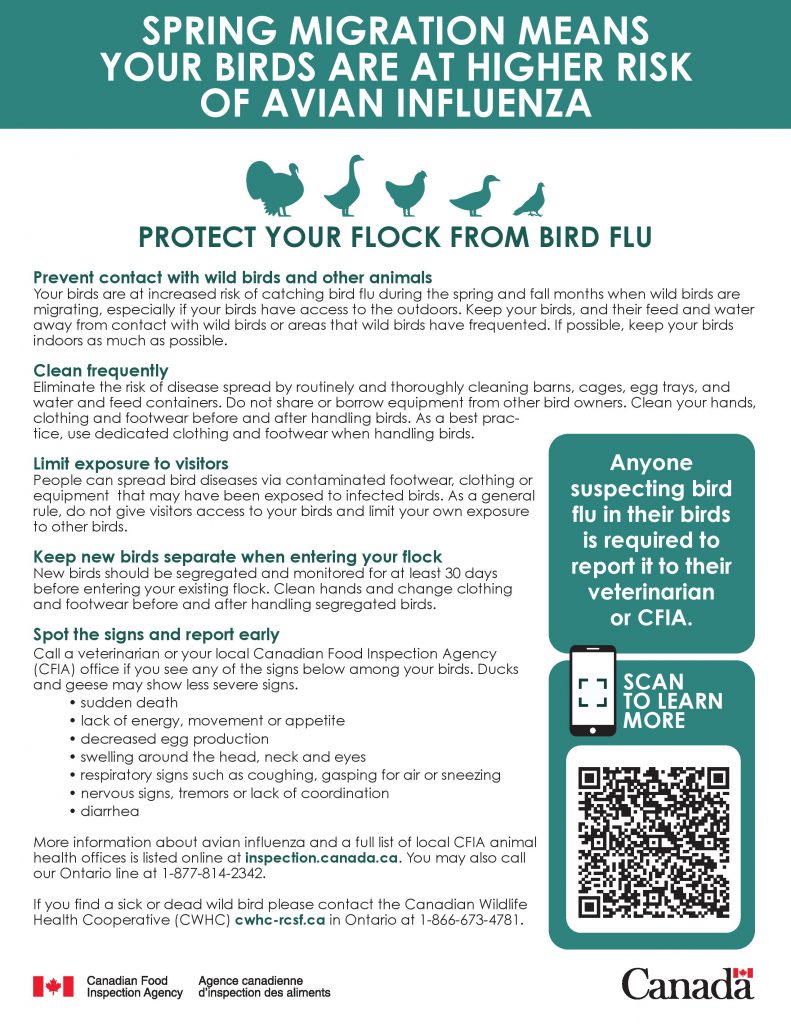 CFIA Infosheets: Spring Migration Means Your Birds Are at Higher Risk ...